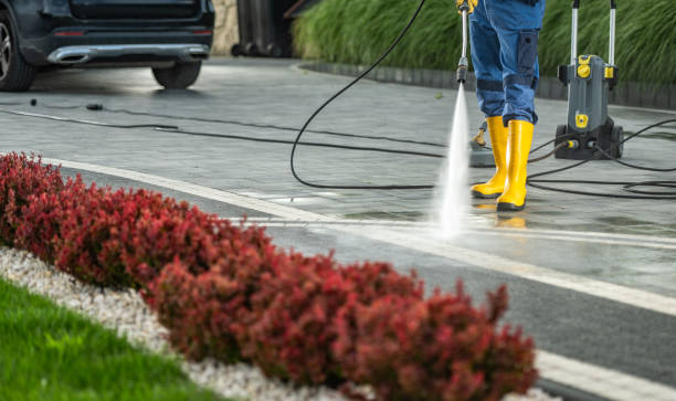 Professional Pressure Washing in Bay Minette, AL